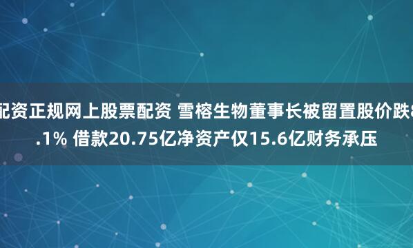 配资正规网上股票配资 雪榕生物董事长被留置股价跌8.1% 借款20.75亿净资产仅15.6亿财务承压