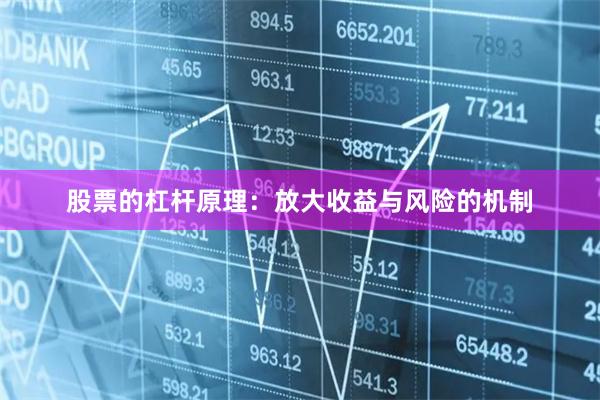 股票的杠杆原理：放大收益与风险的机制