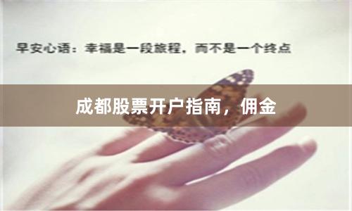成都股票开户指南，佣金